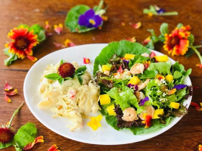 Festival das Flores acontece neste fim de semana em Areia
