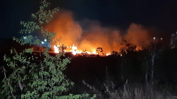 Incêndio atinge área de mata na Grande Natal; VÍDEO
