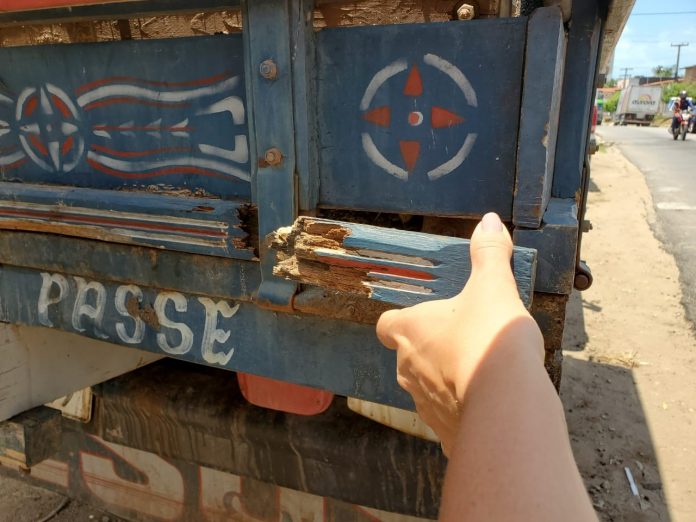 Saiba como pedaço de madeira levou polícia a suspeitos de roubarem animais avaliados em mais de R$ 70 mil no RN