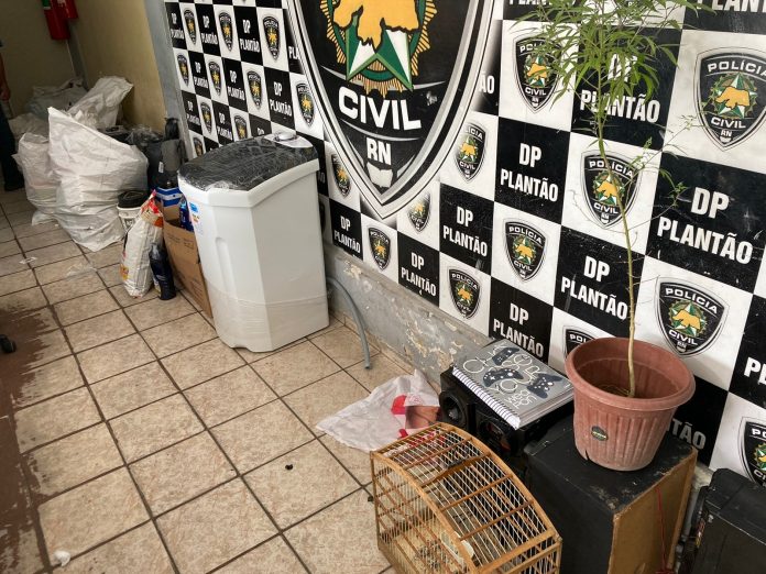 Polícia recupera carga roubada de transportadora e prende quatro suspeitos em Mossoró