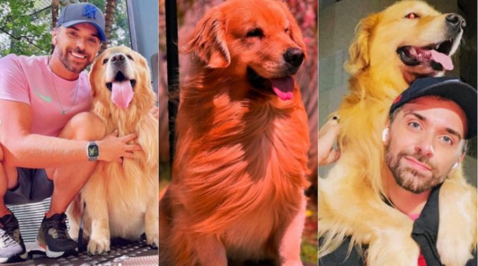 Polícia Civil conclui investigação sobre morte do cão Joca