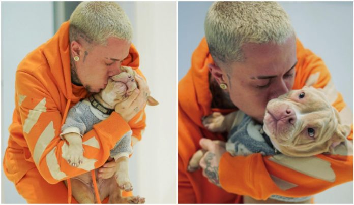 MC Daniel desabafa após cachorro morrer em acidente doméstico: ‘Uma dor inexplicável’