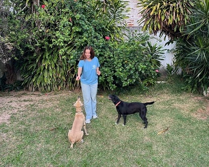 Projeto lança campanha para adoção de cães adultos em Natal; saiba como ajudar