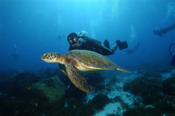 Amazônia Azul: riqueza submersa e desafios para a sustentabilidade