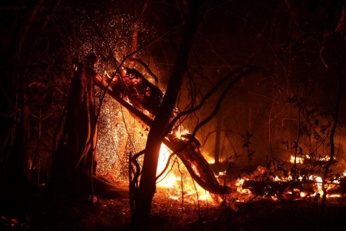 Pantanal entra em alerta de risco alto e extremo de incêndios