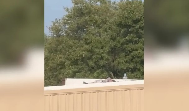 Serviço Secreto não fez varredura de prédio de onde atirador disparou contra Trump