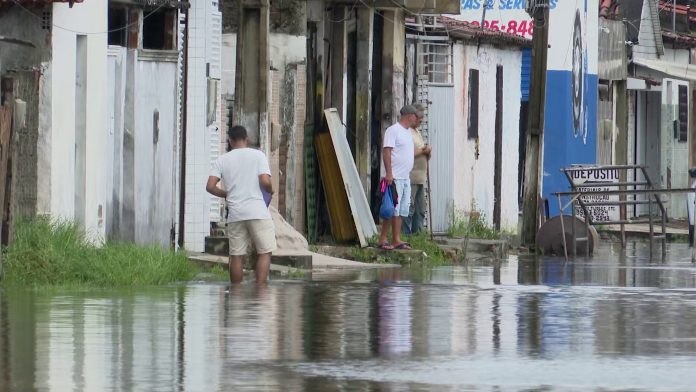 Impactos climáticos: Paraíba tem aumento de 106% na área desmatada e elevação gradativa da temperatura