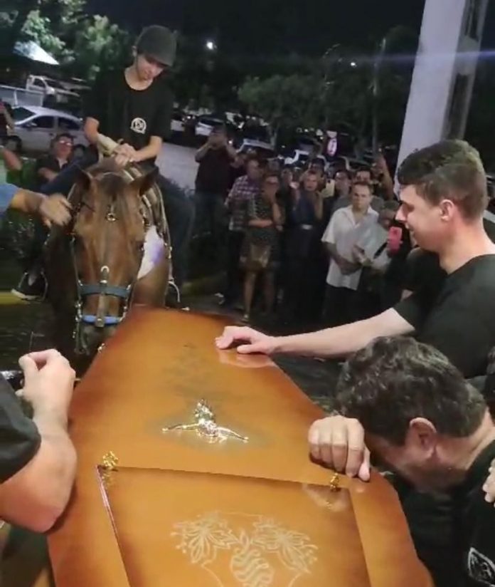 Cavalo se despede de vaqueiro que morreu após mal súbito durante vaquejada no interior do RN; veja vídeo