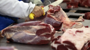 Exportação de carne bovina desacelera em junho e receita recua 11% em um ano, diz Abrafrigo