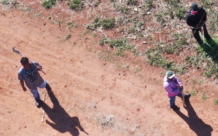 Invasões indígenas aumentam tensão no campo