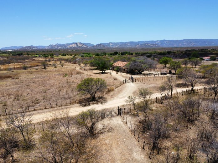 RN não implantou política de combate à desertificação prevista em lei, aponta TCE