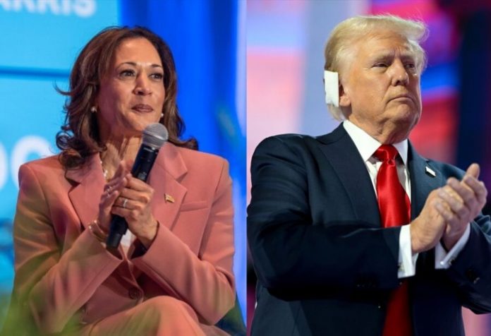 Pesquisa aponta Donald Trump e Kamala Harris empatados tecnicamente