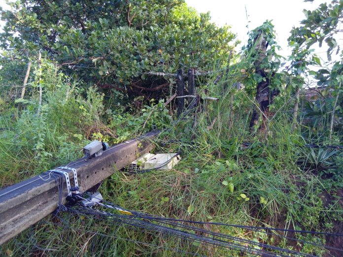 Poste cai dentro de quintal de uma casa em Conde, na Paraíba, e moradora reclama dos riscos