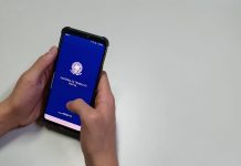 RN cria mais de 13 mil empregos formais no primeiro semestre de 2024 impulsionado pelos serviços