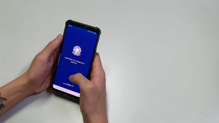 RN cria mais de 13 mil empregos formais no primeiro semestre de 2024 impulsionado pelos serviços