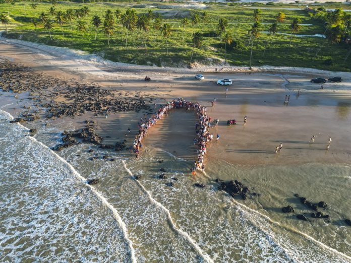 Cerca de 70 filhotes de tartaruga são soltos em praia do Litoral Norte do RN
