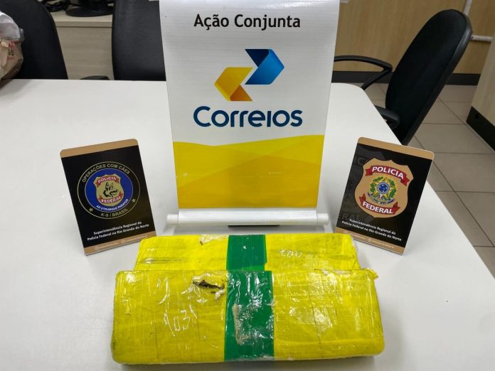PF apreende 2,5 kg de maconha em encomendas enviadas pelos Correios em Natal