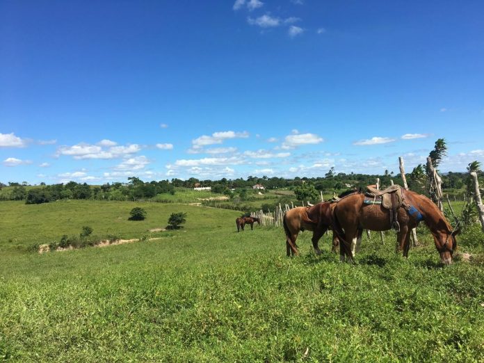 Rota Cultural Caminhos do Frio 2024 chega a Solânea, no Brejo da PB, nesta segunda (22)