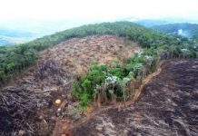 Dia de Sobrecarga da Terra: entramos hoje no cheque especial ecológico